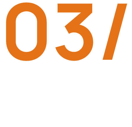 Professional Services